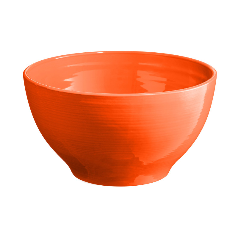 Big Salad Bowl